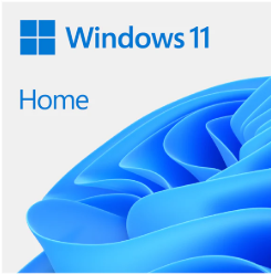 windows 11 home